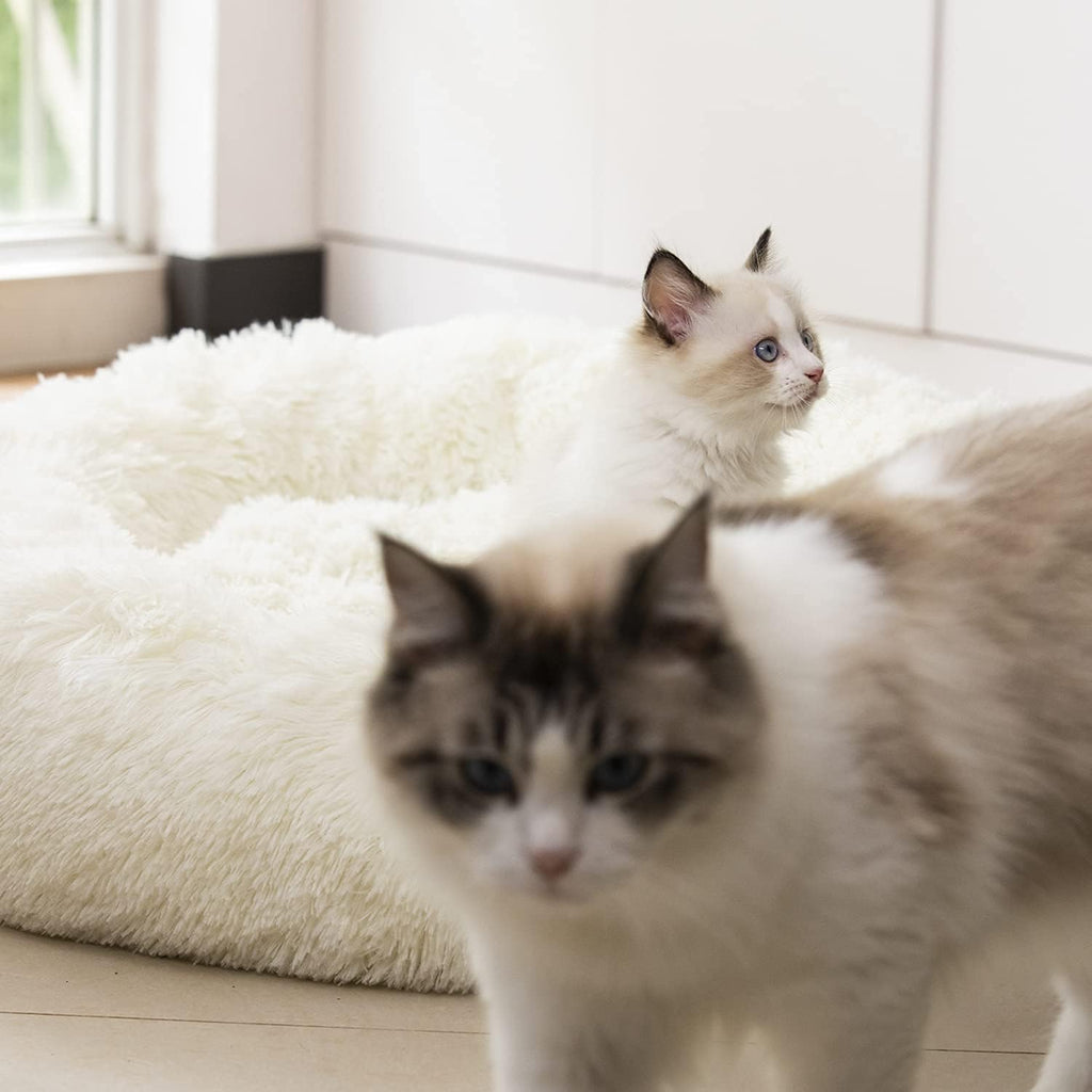 Anti Anxiety Round Fluffy Plush Faux Fur Warm Washable Dog Bed & Cat Bed, Original Bed for Small Medium Large Pets,Used to Relieve Joints and Improve Sleep（20"/24"/27''） (20", White)
