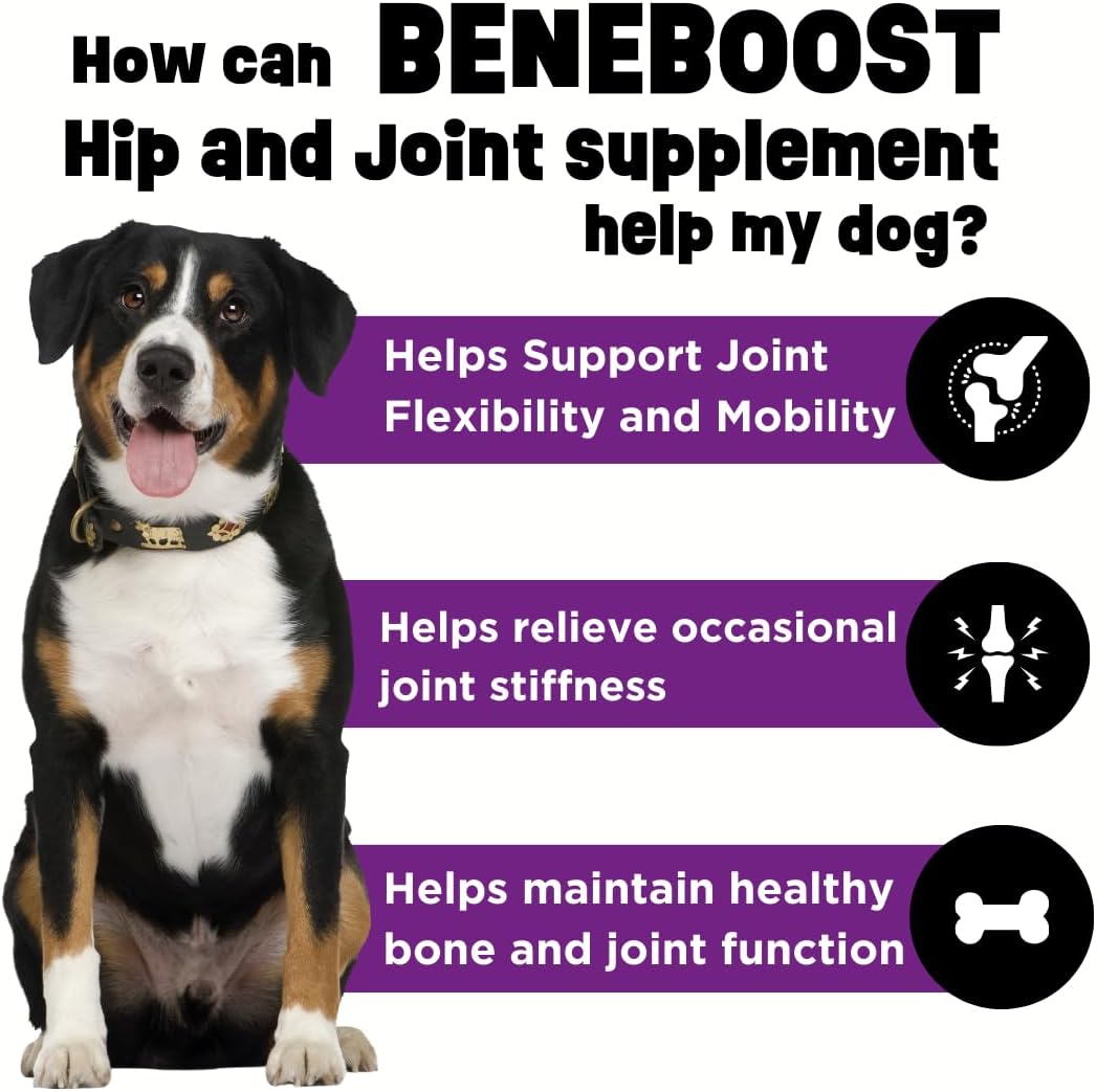 Dinovite BeneBoost Hip & Joint Meal Topper for Dogs, Bacon Flavor, 6 oz