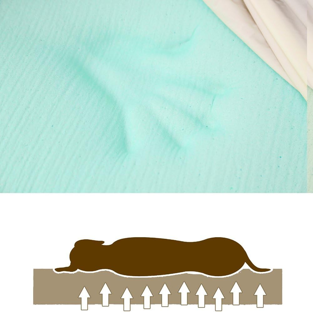 Laifug Orthopedic Dog Bed, Chocolate 50''x36''x10'', Memory Foam