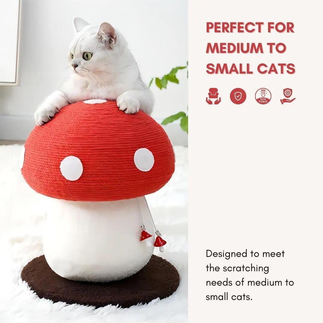 No Assembly Required Mushroom Cat Scratcher, Cute Cat Scratching Post with Natural Sisal Rope, Stable Base & Hanging Toy, Small Space Kitten Tree for Indoor Cats, Claw Care Scratch Pole