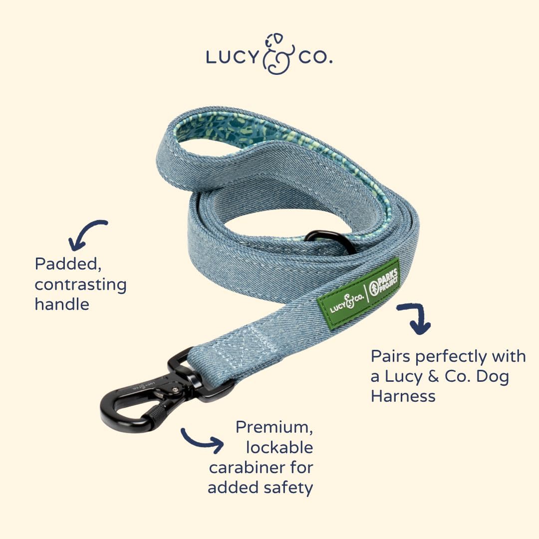 Lucy & Co. x Parks Project Adventures with Friends Dog Leash, S