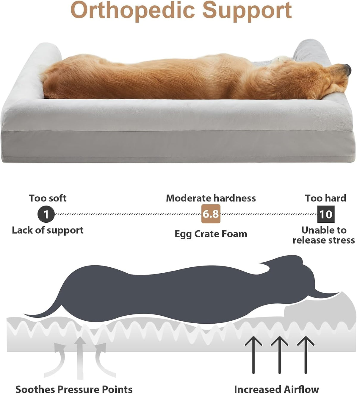 BFPETHOME Orthopedic Washable XLarge Dog Bed for Senior Dog Cozy Sleep