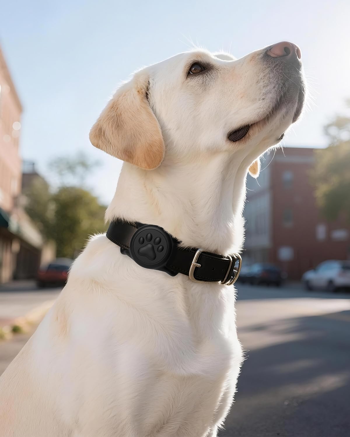 IP68 Waterproof Dog AirTag Holder for Dog Collar, Soft, Stretchy Silicone