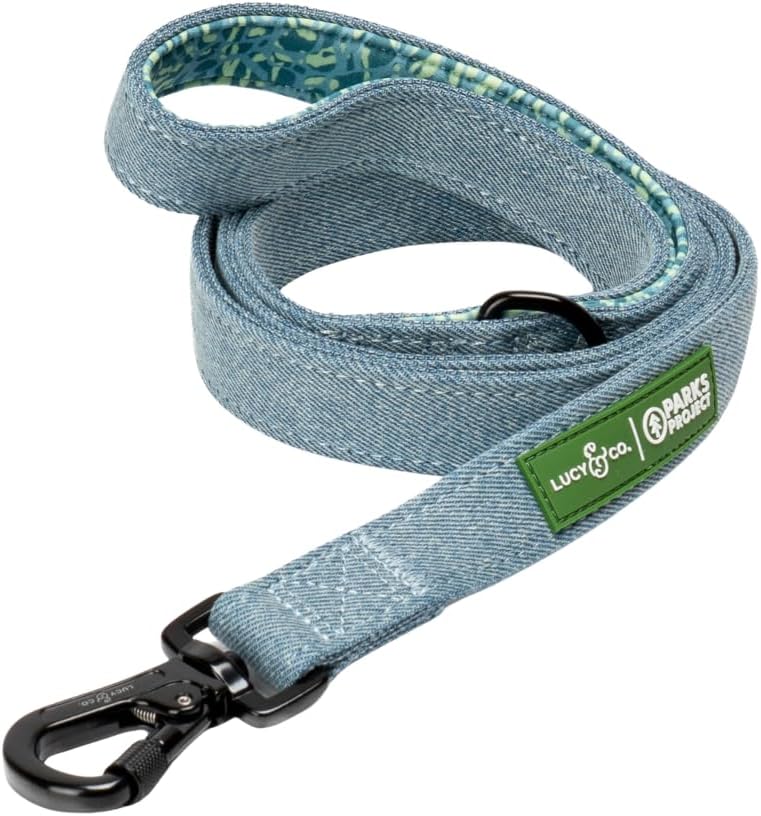 Lucy & Co. x Parks Project Adventures with Friends Dog Leash, S