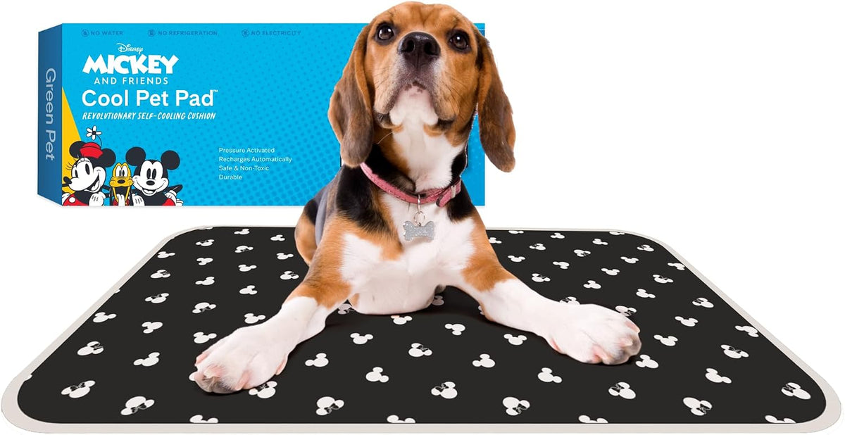 The Green Pet Shop Cool Pet Pad - Small, Disney’s Mickey & Minnie Mouse - Self-Cooling, Pressure Activated Mat for Dogs & Cats from 9-20 lbs - Non-Toxic Gel, No Water Needed