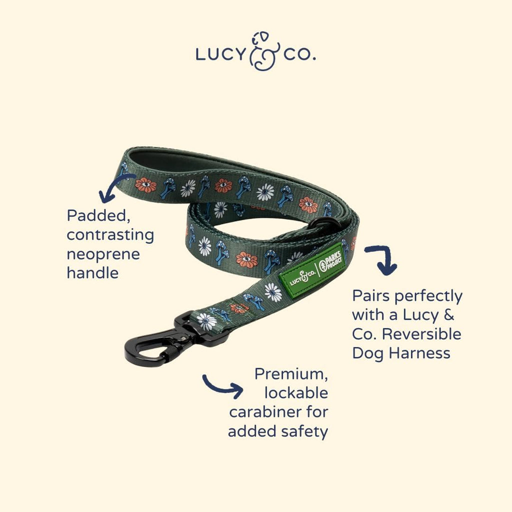 Lucy & Co. x Parks Project Power to the Parks Dog Leash, Durable Matching Dog Lead with Heavy Duty Hardware, Large