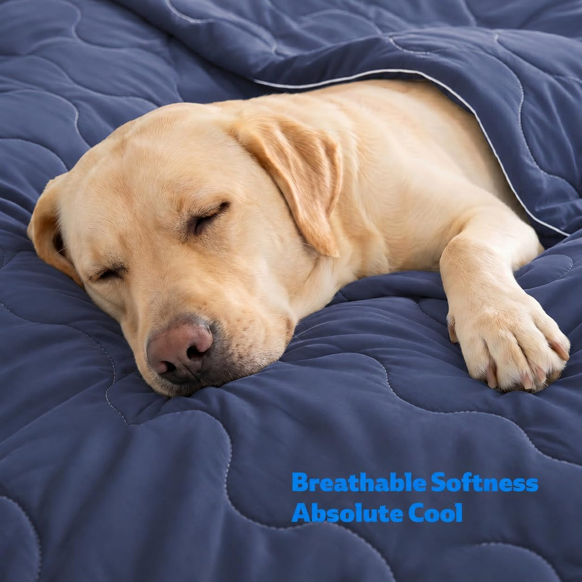 Cooling Blanket for Dogs. Dog Cooling Blankets for Large Dogs, Breathable Cooling Fabric, Cold Washable, Cooling Dog Blanket Durable Scratch-Resistant Soft Fabric for All Seasons, Navy