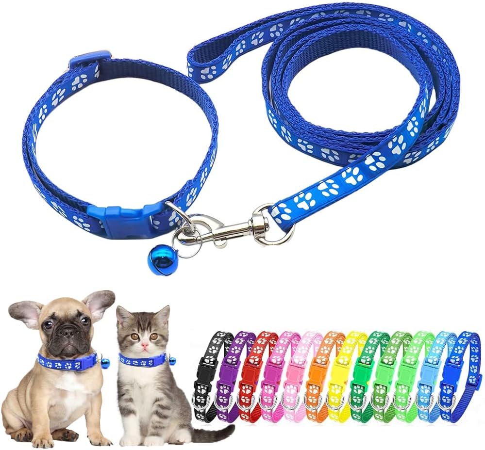 Puppy Leash and Collar, Dog Cat Collar and Leash Set Tiny XXS Kitten, Blue