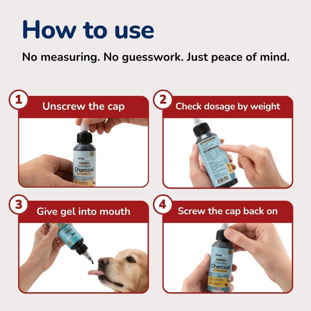 Activated Charcoal for Dogs, Cats & Puppies – Emergency Pet First Aid Gel for Accidental Ingestion, Beef-Flavored Digestive Paste, Veterinarian-Developed, Made in USA, 60 mL (Pack of 3)