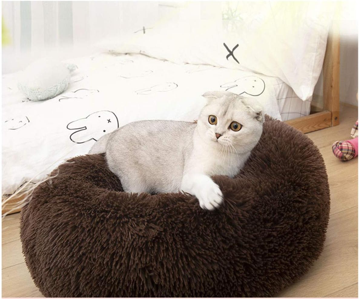 Cat Bed for Indoor Cats,Mini Plush Self Warming Kitten Bed, 20 Inch