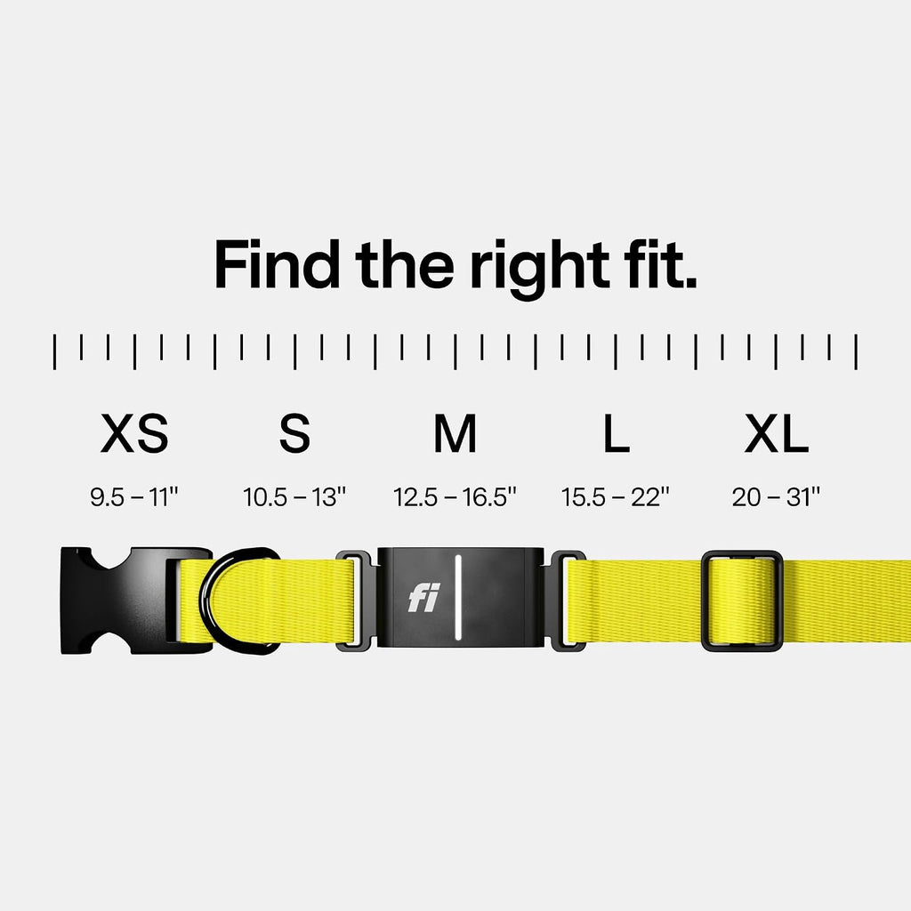 Fi Series 3+ GPS Dog Collar & Tracker, Membership Required, Pink M