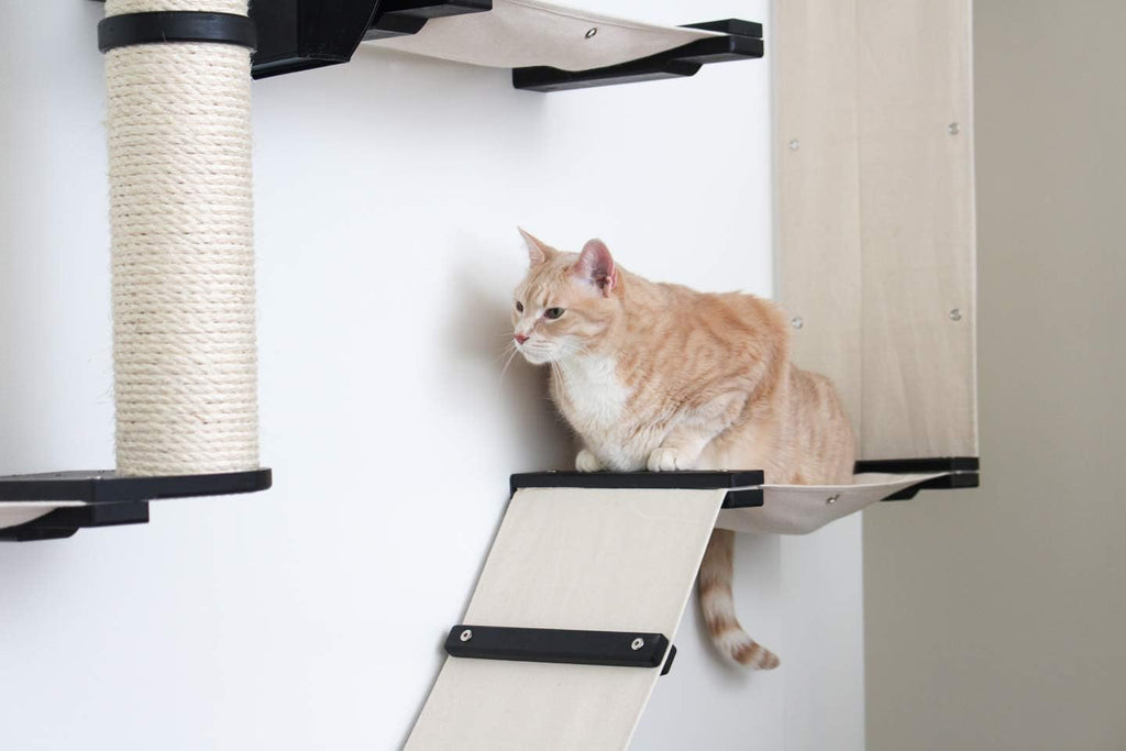 CatastrophiCreations Gardens Set for Cats Multiple-Level Wall Mounted Scratch, Hammock Lounge, Play & Climbing Activity Center Furniture Cat Tree Shelves