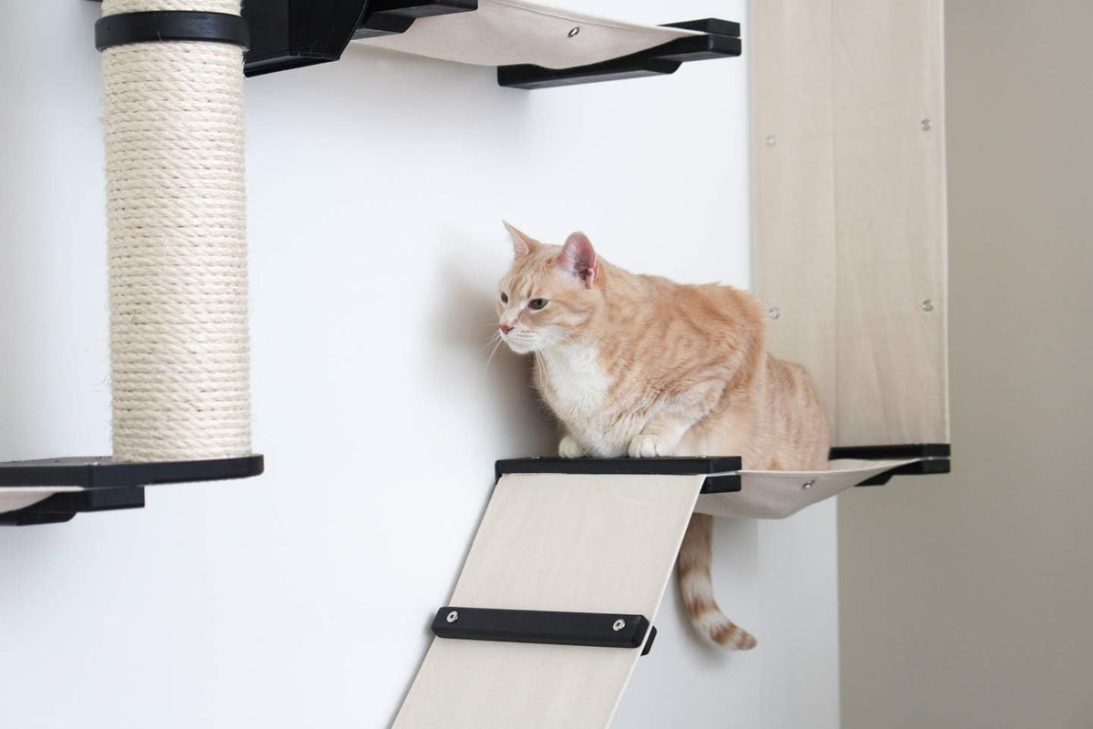 CatastrophiCreations Gardens Set for Cats Multiple-Level Wall Mounted Scratch, Hammock Lounge, Play & Climbing Activity Center Furniture Cat Tree Shelves