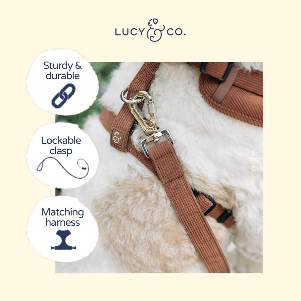 Lucy & Co. Chocolate Meadows Corduroy Dog Leash, S