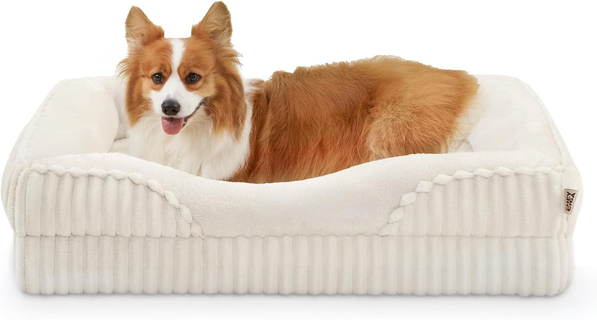 EHEYCIGA Extra Large Orthopedic Dog Bed 41x27 Inch, Cream