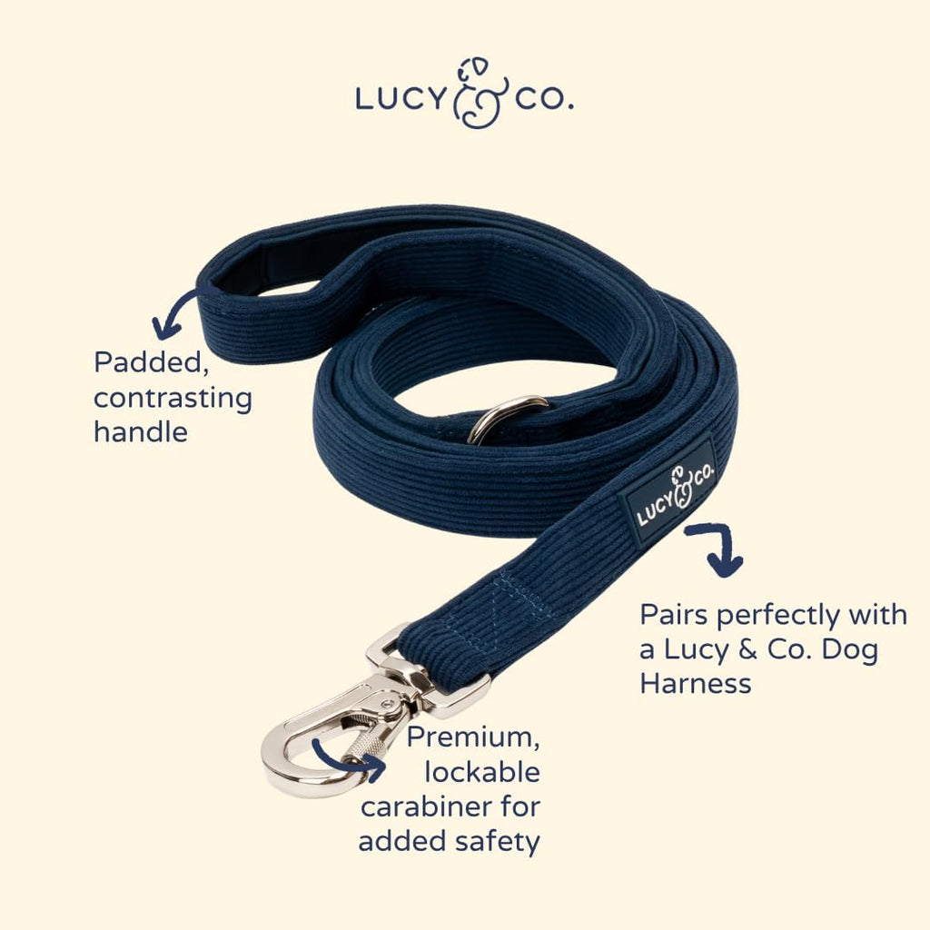 Lucy & Co. Appley Ever After Corduroy Dog Leash, L