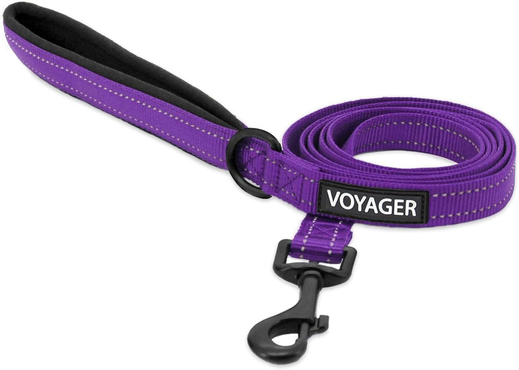 Best Pet Supplies Voyager Nylon Dog Leash - Purple, Large