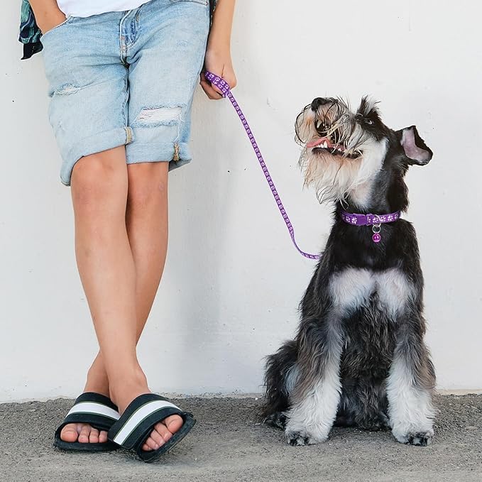 Black Bell Collar for Small Dogs, Puppy Collar and Leash Set Pawprint XSmall Dog Collar Adjustable Kitten Collar with Bell for Tiny Little XXS XS Extra Small Breed Pets Dogs Cats Girls Boys