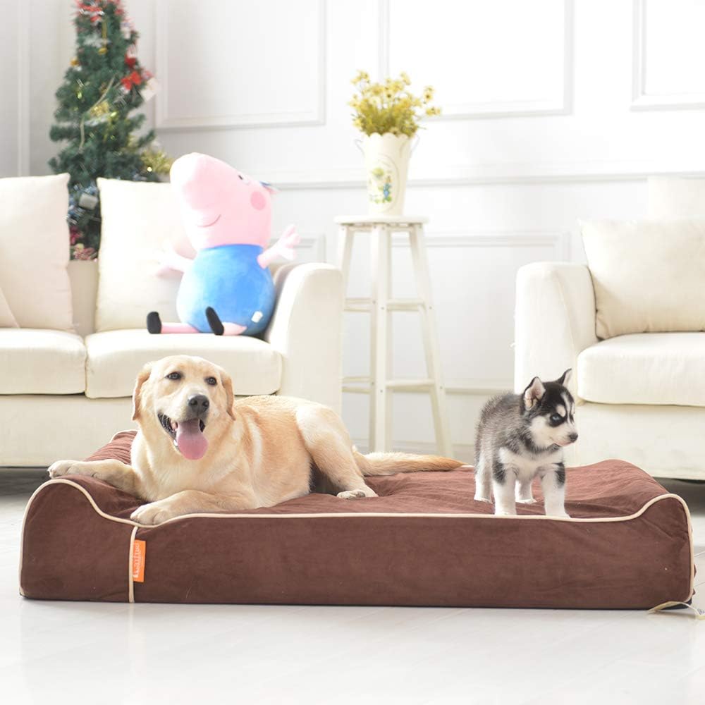 Laifug Orthopedic Dog Bed, Chocolate 50''x36''x10'', Memory Foam