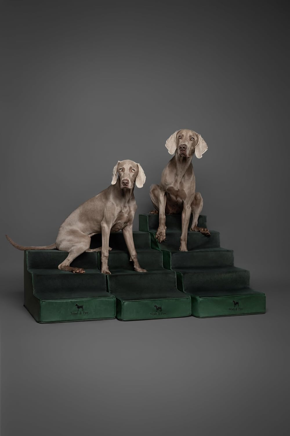 Noah & Paw Dog Steps for Bed, Up to 150lb, Extra Wide Dog Stairs for Bed