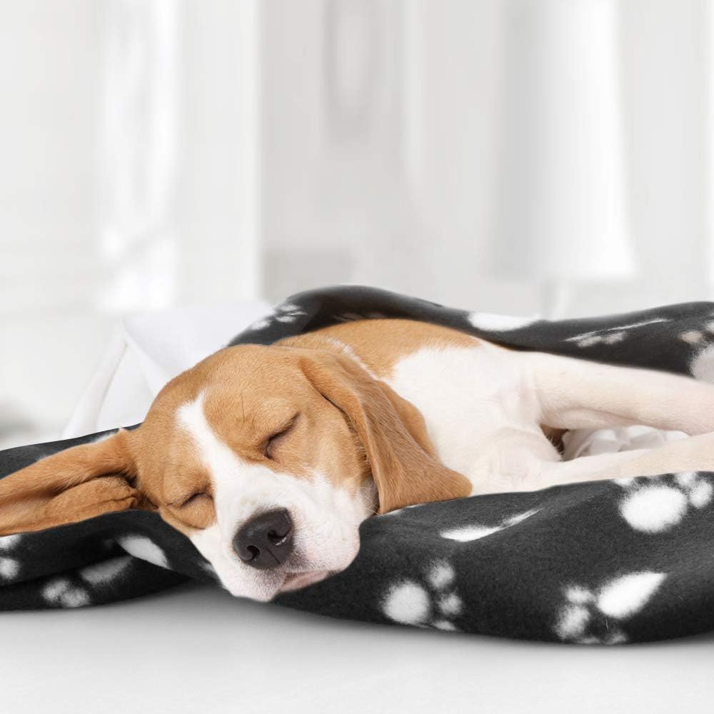 Comsmart Dog Blankets, 6 Pack Fleece Pet Blankets, 39x31 inches, Black