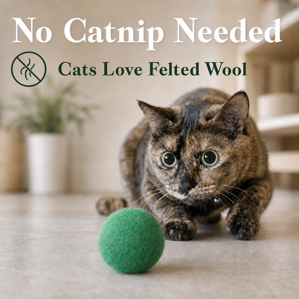 Felted Wool Cat Ball Toys, Green, 6PCS