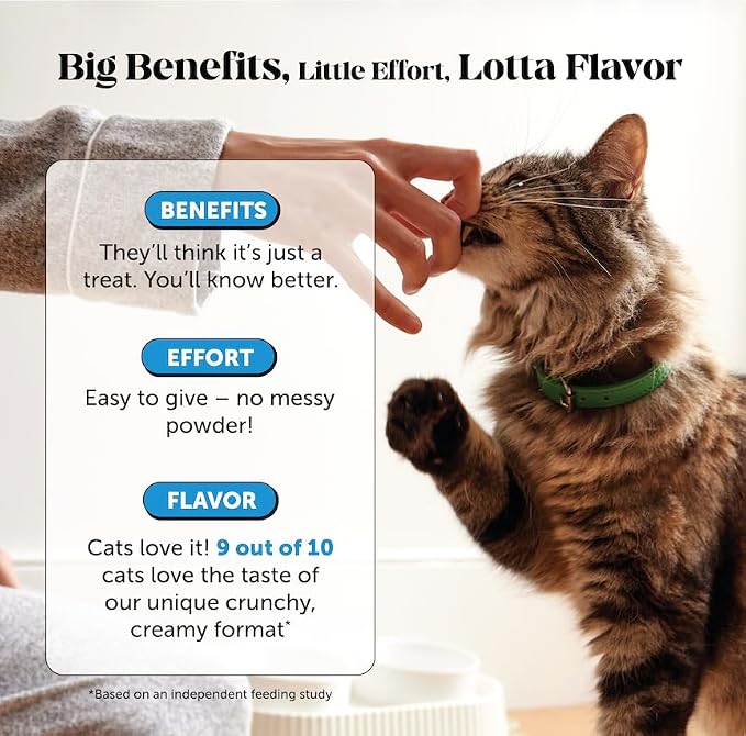 Pet Honesty Vet Backed Skin & Coat Cat Vitamins, Chicken, 90-Day Supply