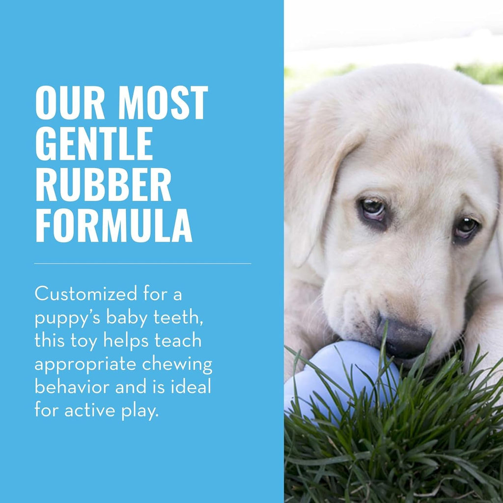 KONG Puppy, Natural Rubber Teething Chew Toy, for Medium Puppies, Blue | Gentle Natural Teething Rubber Toy, Stuffable for Treats & Built for Chewing & Fetch with Growing Puppies
