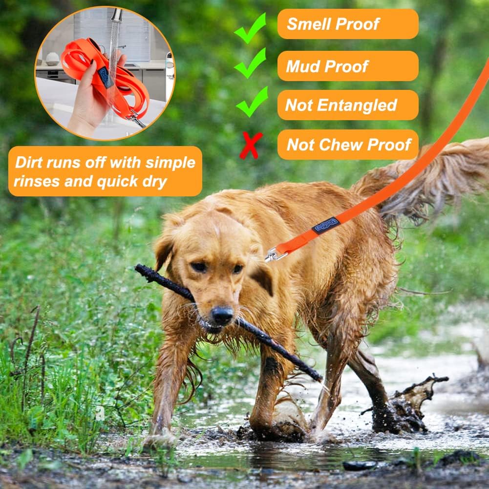 Vivifying Waterproof Long Dog Leash, 20ft Dog Training Leash, Orange