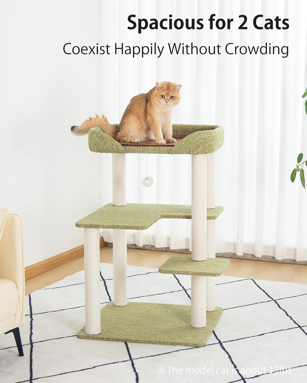 37.5" Cat Tree Tower for Large & Senior Cats, Low-Step Design