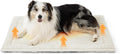Bedsure ComfyFleece® Self Warming Dog Bed XL,Large Self Heating Cat Pad