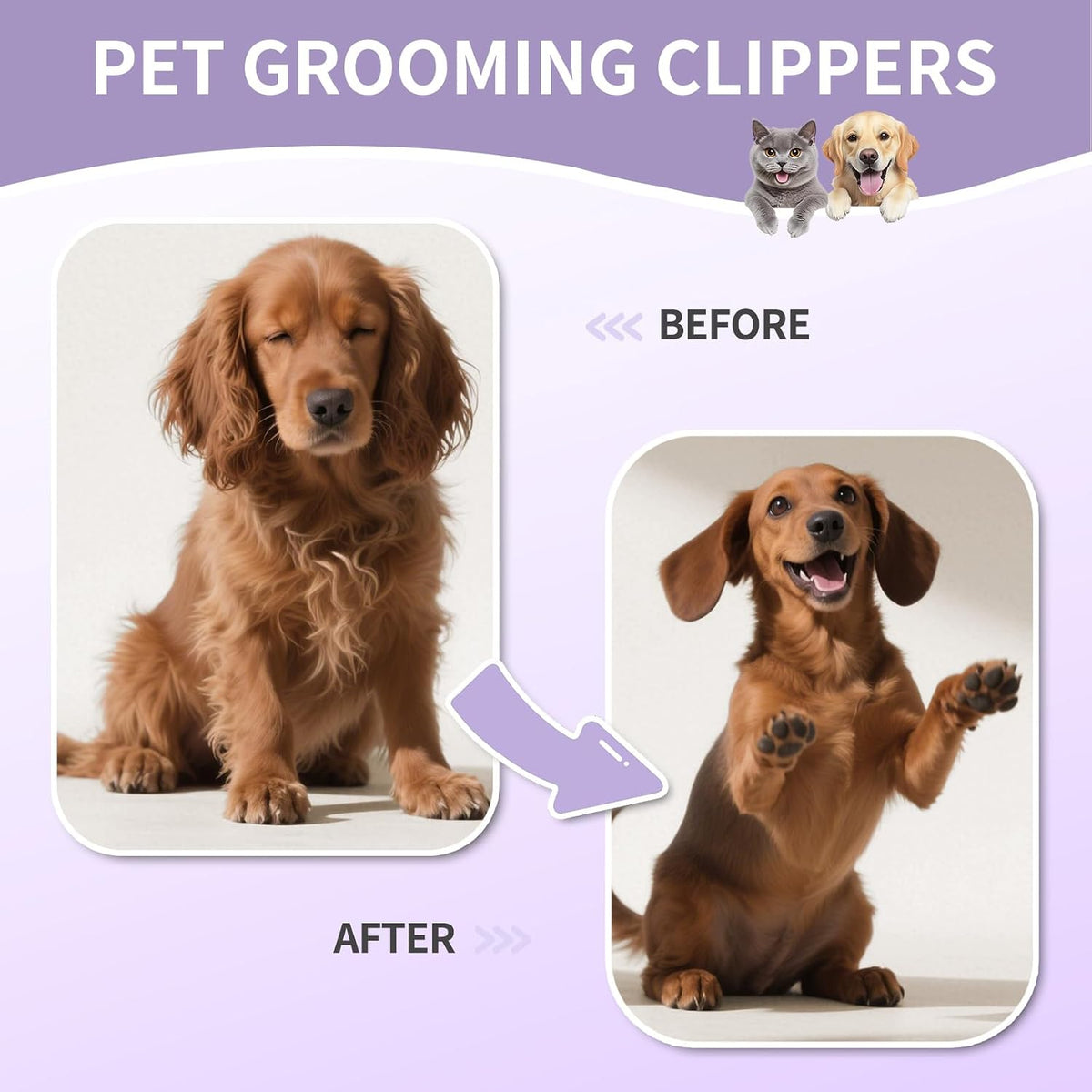 Pet Deshedding Brush for Dogs Cats, All Hair Types Grooming Tool (Purple)