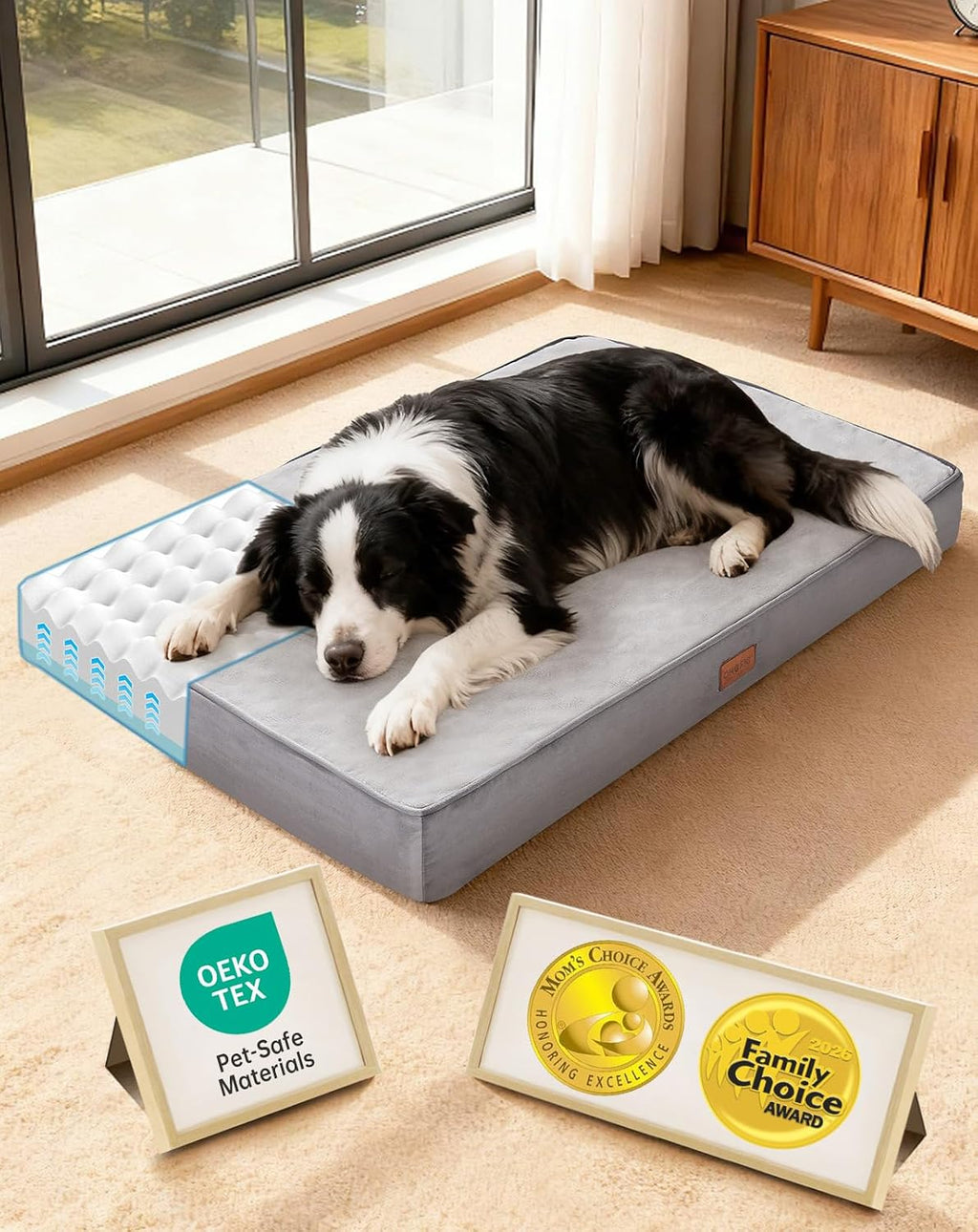OhGeni Orthopedic M-L Dog Bed, Reversible Memory Foam,35 inch(Gray)