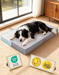 OhGeni Orthopedic M-L Dog Bed, Reversible Memory Foam,35 inch(Gray)