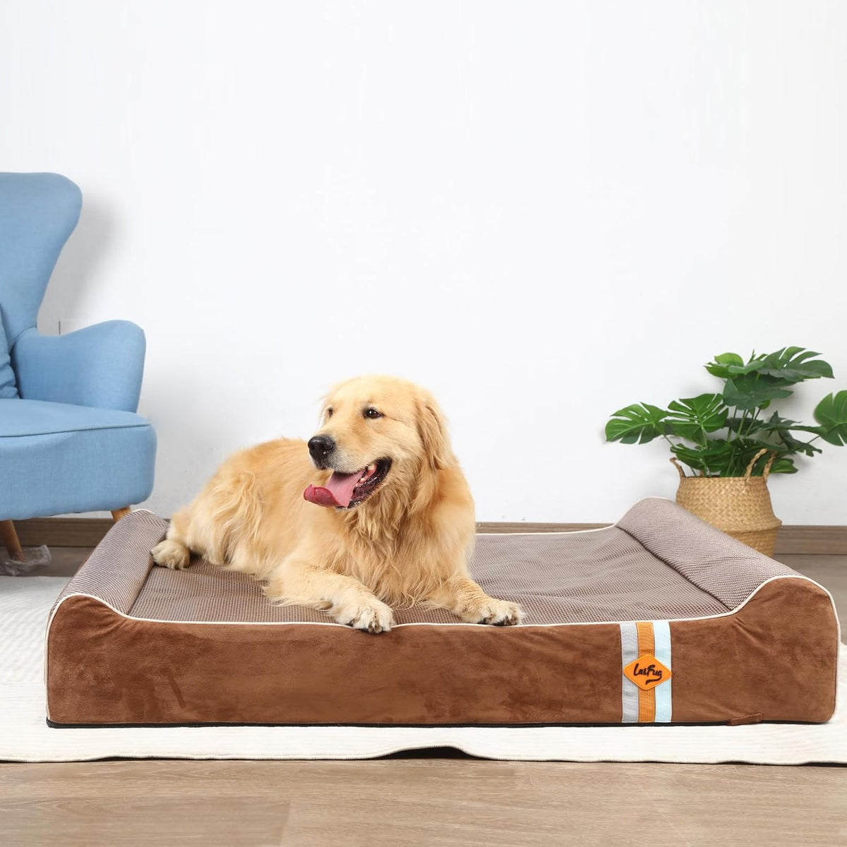 Laifug Orthopedic Dog Bed, Brown 50''x36''x10'', Memory Foam