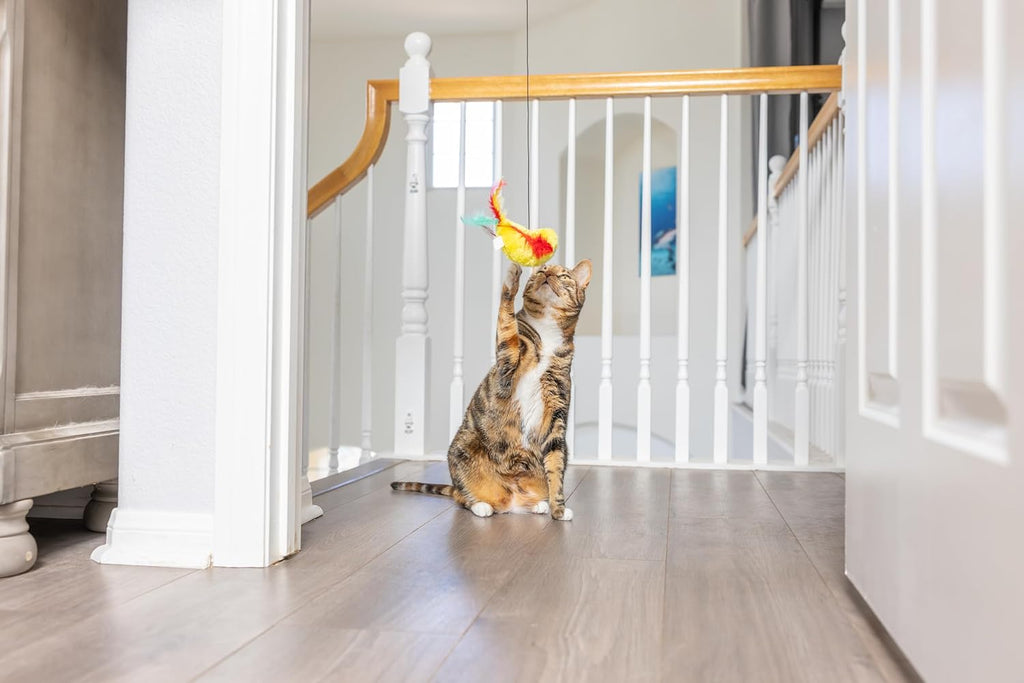 SPOT A-Door-Able Plush Bird Cat Toy | Rattle and Catnip Cat Toy Provides Hours of Entertainment for Your Cat | Hangs on Any Size Door Frame