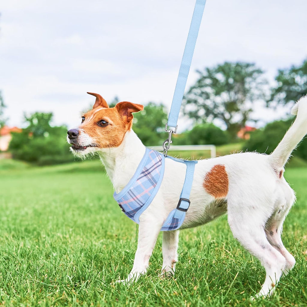 SCENEREAL Puppy Dog Harness with Leash Set for Small Medium Sized Dogs