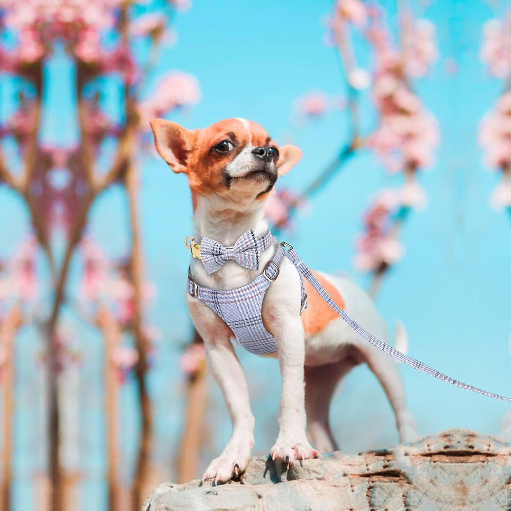 Beirui Cute Extra Small Dog Harness and Leash Set, Blue,XXS,Chest 12-14"
