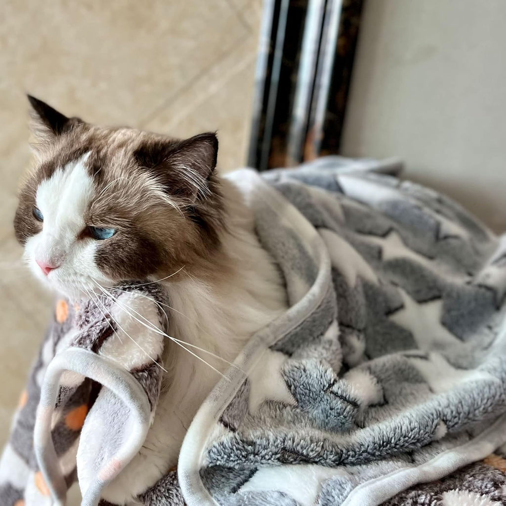 1 Pack 3 Puppy Blankets Cat Dog Blankets Super Soft Warm Sleep Mat Grey Star Cute Print Blanket Fluffy Fleece Pet Blanket Flannel Throw for Small Dogs Puppy Dogs Cats Large(40"x30")
