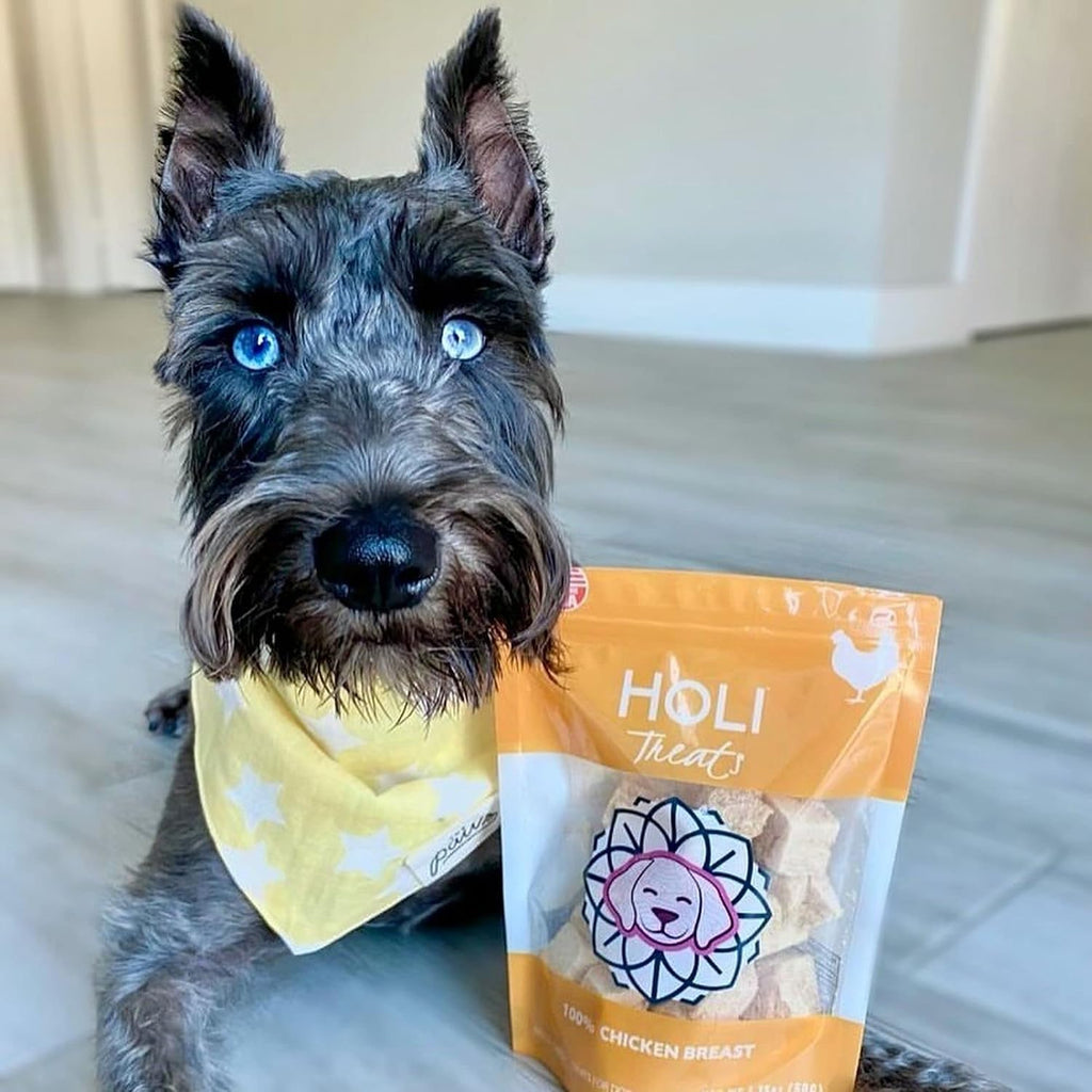 HOLI Freeze Dried Chicken Breast Dog Treats. Single Ingredient Freeze Dried Chicken Treats for Dogs. Healthy All Natural Dog Snack Made from 100% Breast Meat. High Value Training Treat. 1.75 oz