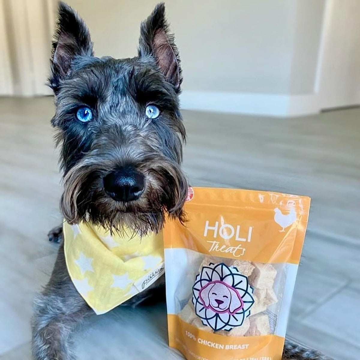 HOLI Freeze Dried Chicken Breast Dog Treats. Single Ingredient Freeze Dried Chicken Treats for Dogs. Healthy All Natural Dog Snack Made from 100% Breast Meat. High Value Training Treat. 1.75 oz