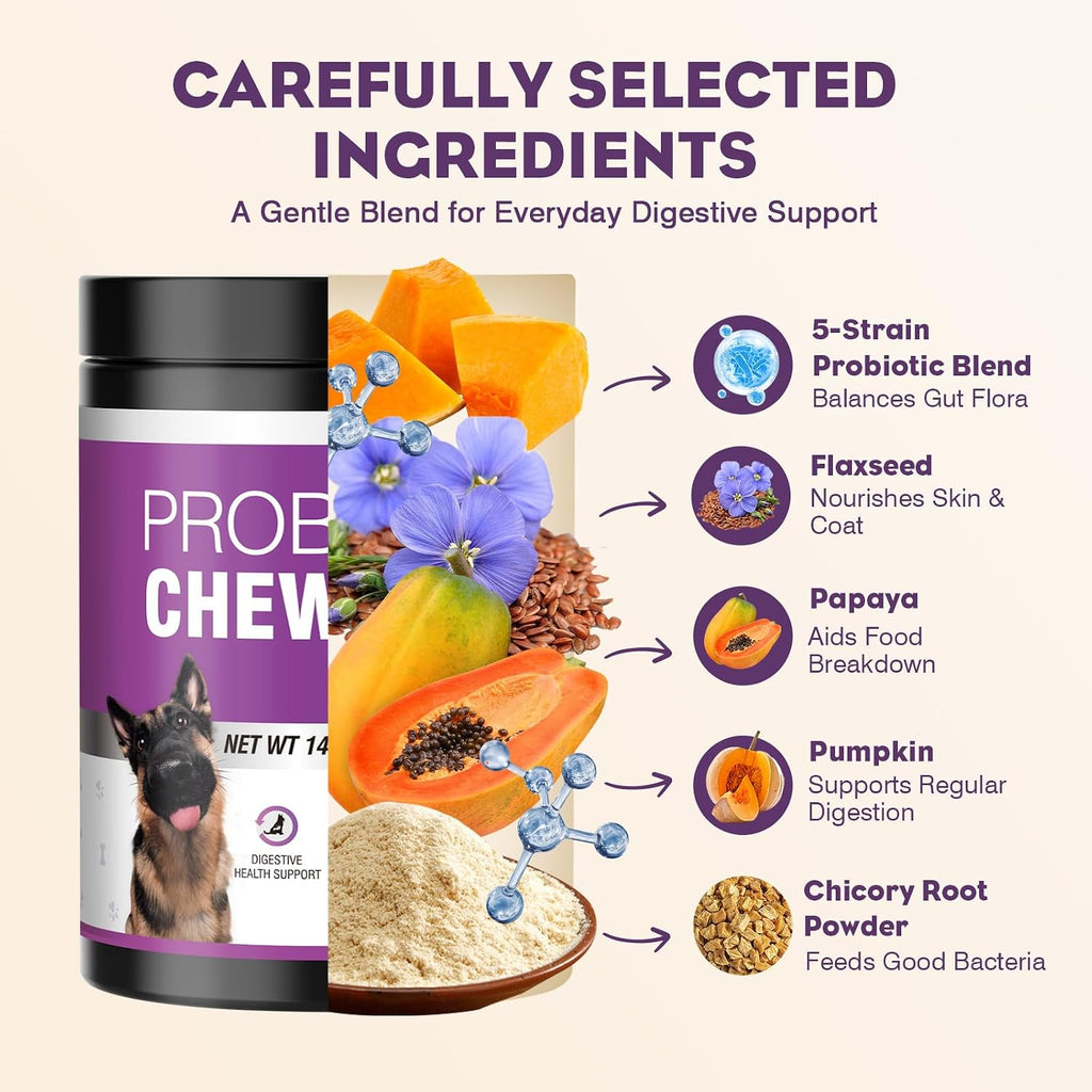 Probiotics for Dogs 200pcs Dog Probiotics for Digestive Health Chicken