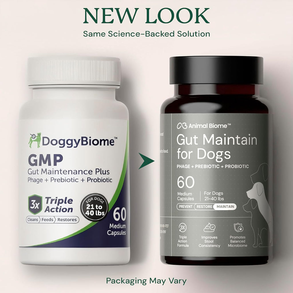Animal Biome Small Dog Pre and Probiotics, S Boulardii, Gut Maintain, 60 Ct