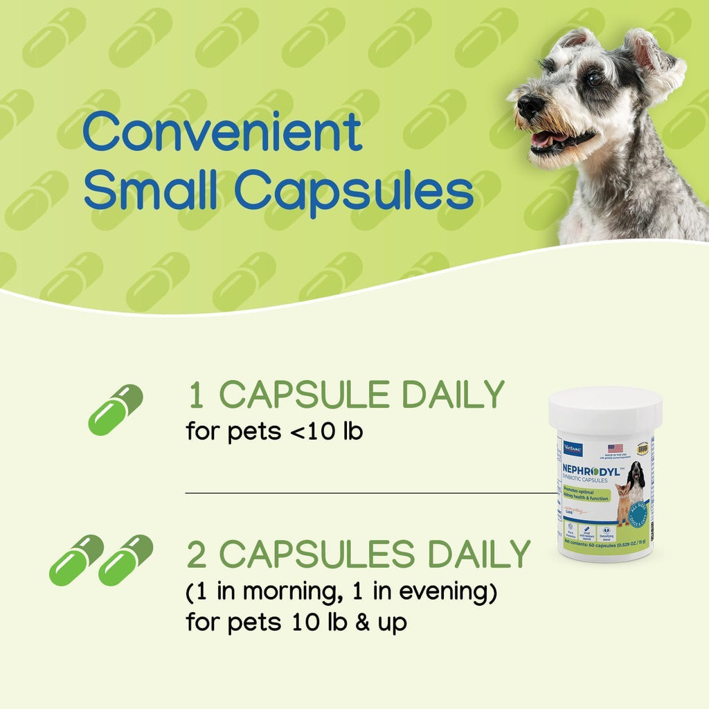 NEPHRODYL Synbiotic Capsules for Cats & Dogs, Kidney Support, 60ct