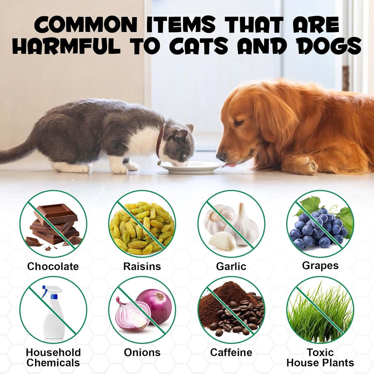 Activated Charcoal for Dogs and Cats - Emergency Pet First Aid for Accidental Ingestion, Dog First Aid Activated Charcoal, Absorbs Toxins, Supports Poisoning, Diarrhea & Gas Relief