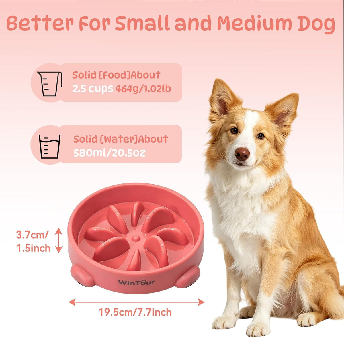 WinTour Slow Feeder Dog Bowls for Small Medium Pets, Round PP Dish, 1 Pack