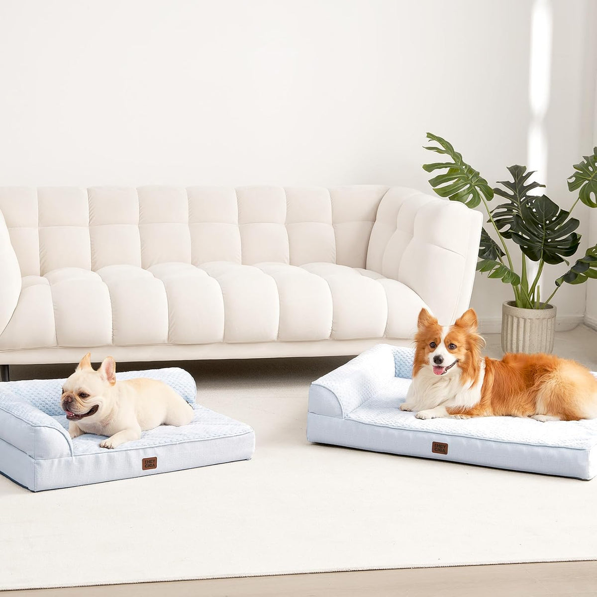 EHEYCIGA Orthopedic Dog Bed, Medium Memory Foam Dog Bed, Washblue
