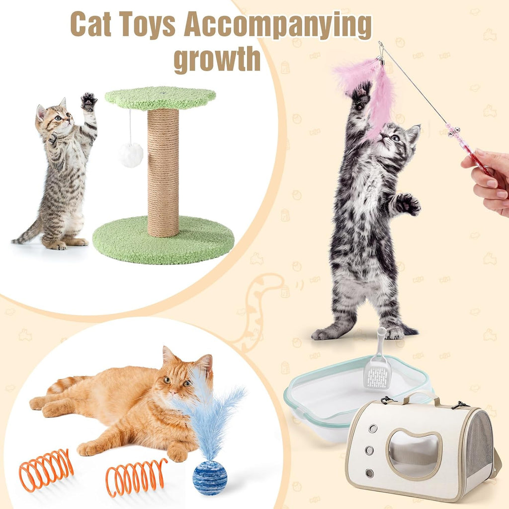 Eccliy 10 Pcs Kitten Starter Kit for Indoor, Cute, Small, Multicolor