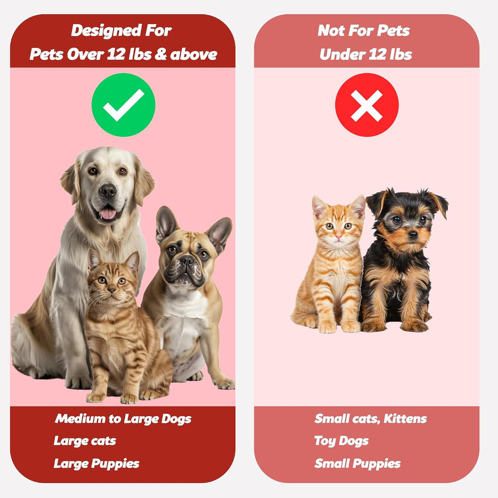 Pet Toothbrush for Dogs, Cats with Soft Bristles - Easy Teeth Cleaning & Dental Care, Non Slip Dual Head Dog Toothbrush for Medium & Large Pets, Toothpaste Not Included, Pack of 4 Red 