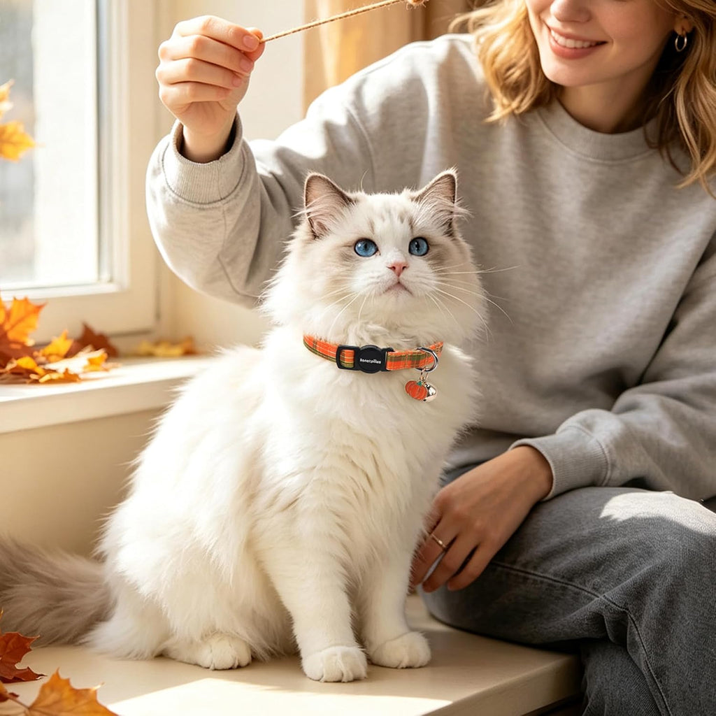 LIONET PAWS 2 Pack Breakaway Cat Collars, Cute Soft Cotton Halloween Orange Pumpkin Ghost & Fall Plaid Kitten Collars with Bell & Charm for Boy Girl Cats
